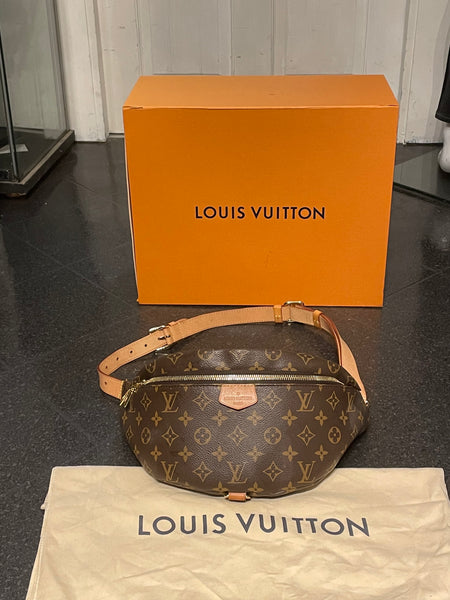 Louis Vuitton Bumbag Discontinued - Rakeedah's Closet